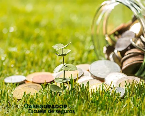 Planta creciendo entre monedas sobre césped junto a frasco de cristal y logotipo de Campus Asegurador.