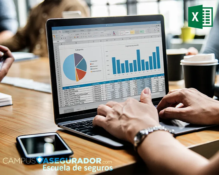 Profesional analizando gráficos de Excel en portátil para curso de Campus Asegurador sobre gestión de datos de seguros.