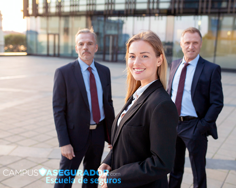 Distribuidor de Seguros Nivel 3