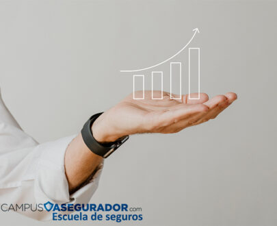 Información sobre Sostenibilidad respecto de Productos de Inversión basados en Seguros