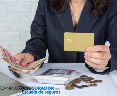 Introducción a los Seguros de Crédito