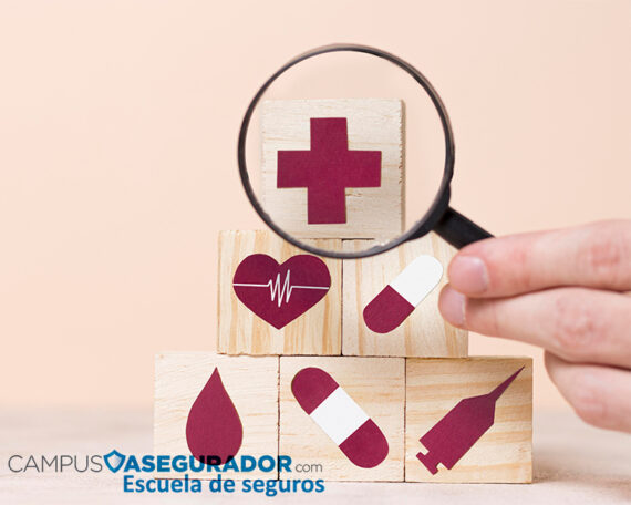 Introducción a los Seguros de Enfermedad y Asistencia Sanitaria