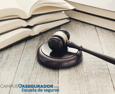 Introducción a los Seguros de Responsabilidad Civil