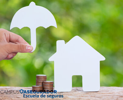 Las Instituciones del Sector Asegurador