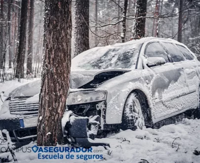 Vehículo plateado con daños frontales severos tras colisión contra árbol en bosque nevado durante invierno.