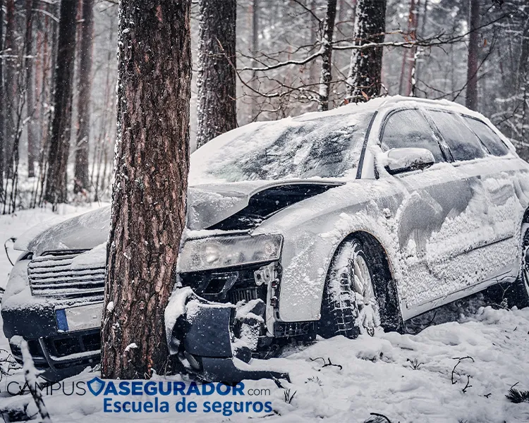 Vehículo plateado con daños frontales severos tras colisión contra árbol en bosque nevado durante invierno.
