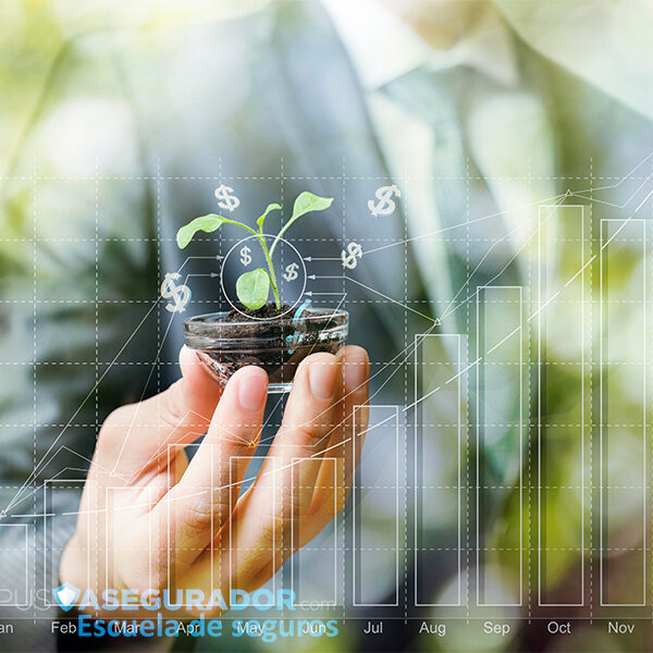 Introducción a la Sostenibilidad en Finanzas y Seguros