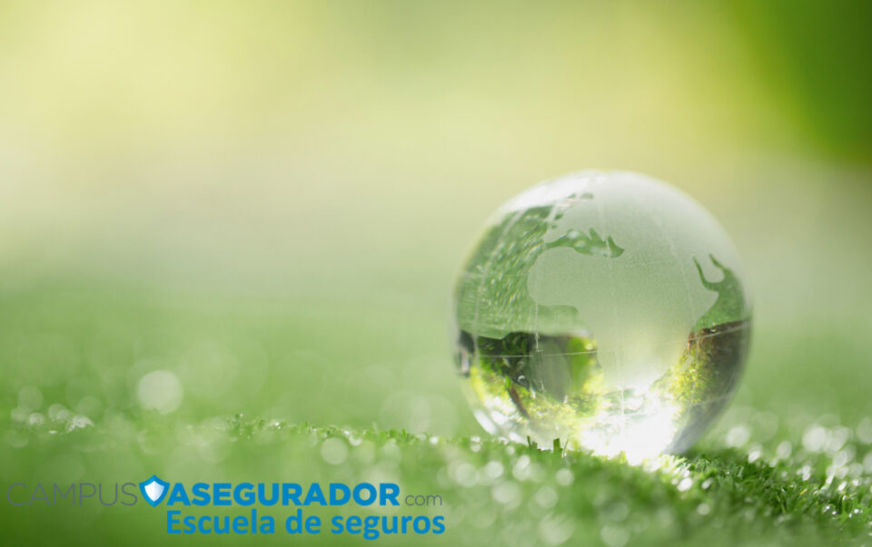 Cursos