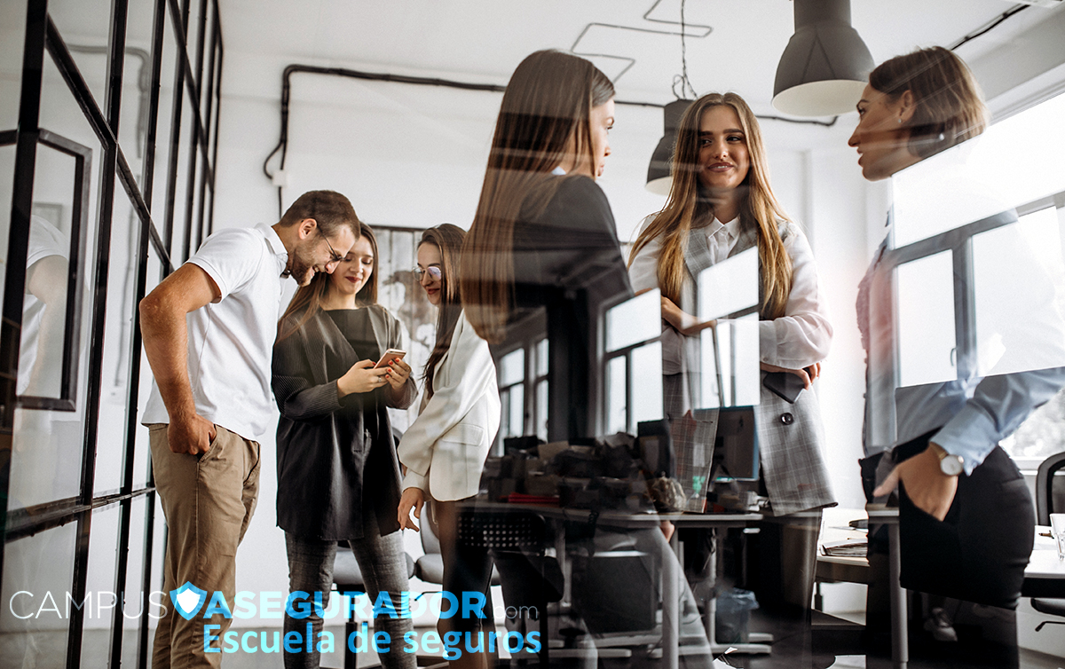 Distribuidor de Seguros de Nivel 1: Clave para el Éxito en el Sector Asegurador