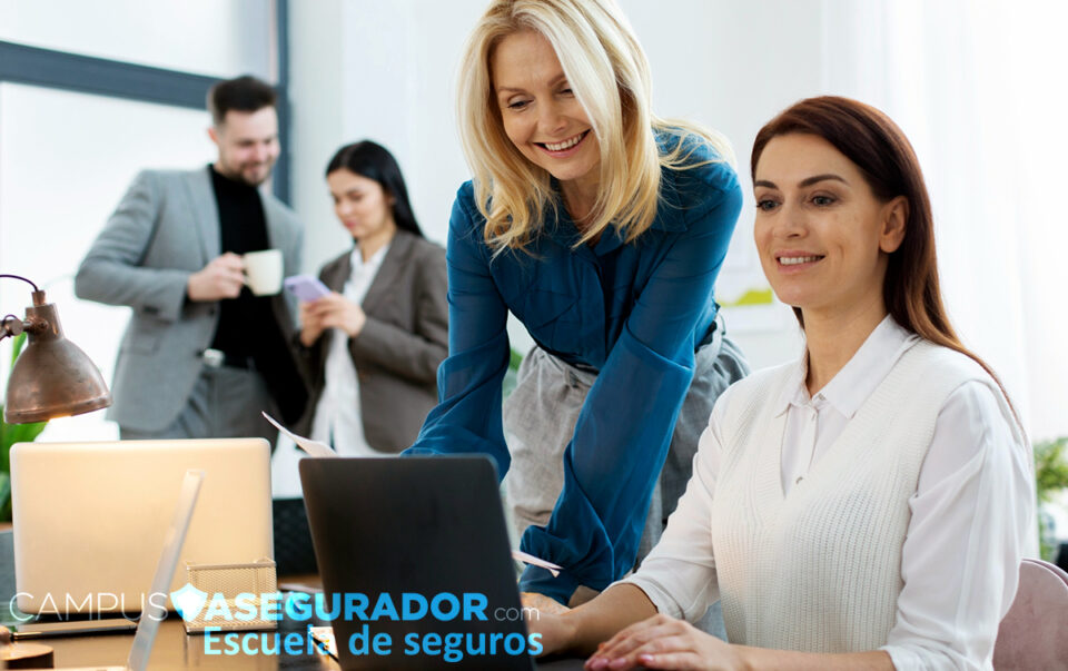 Organización y Gestión de Equipos de Venta de Seguros1