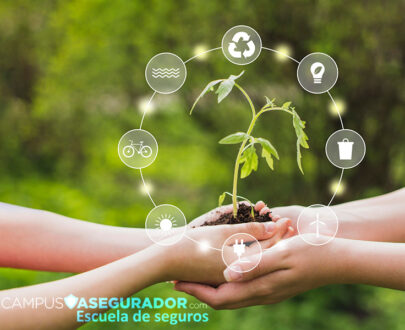 Sensibilización en Materia de Sostenibilidad