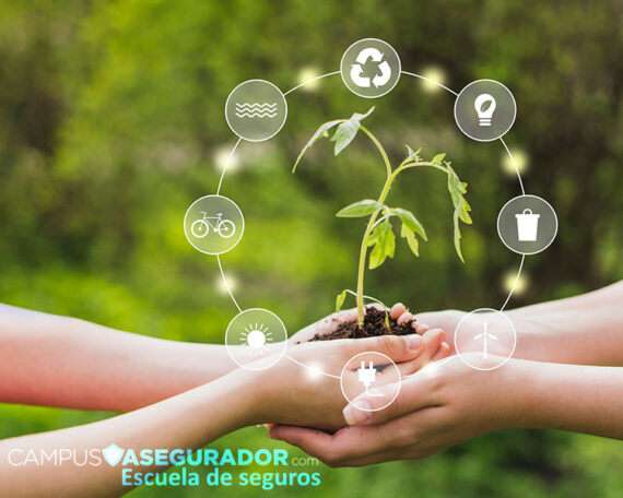 Sensibilización en Materia de Sostenibilidad