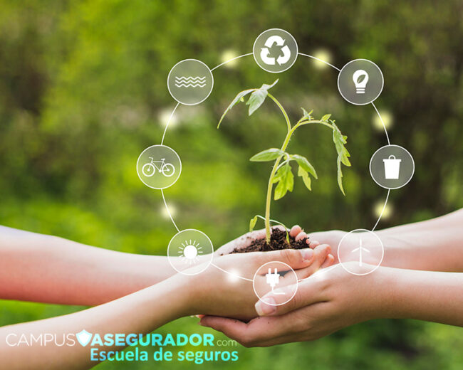 Sensibilización en Materia de Sostenibilidad