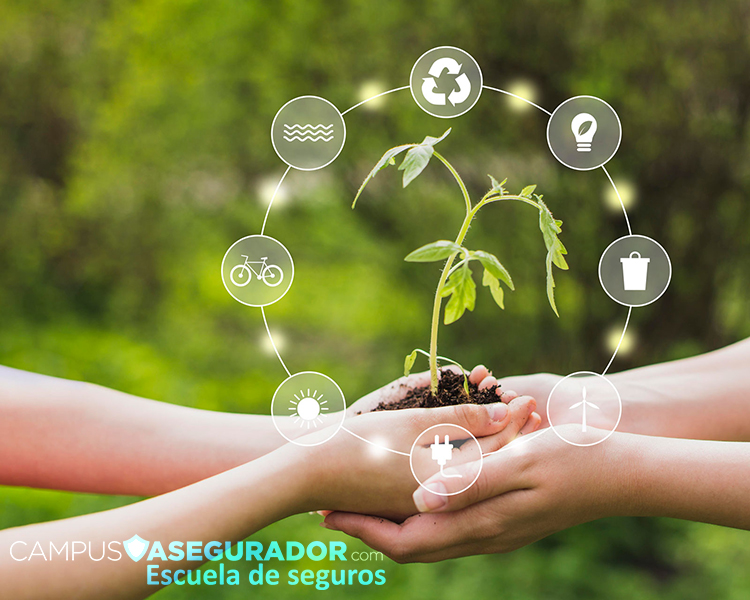 Sensibilización en Materia de Sostenibilidad