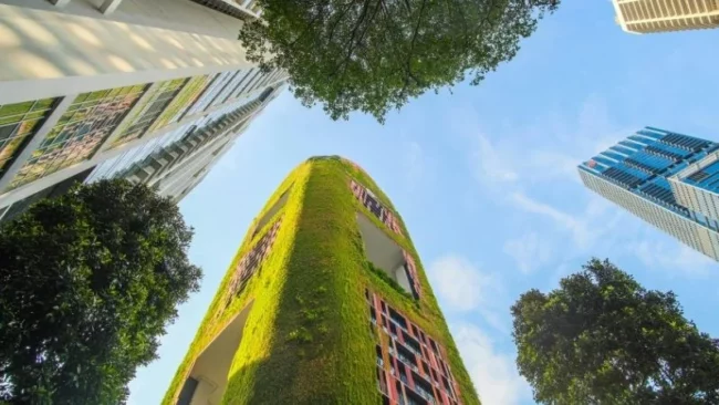 Curso sostenibilidad